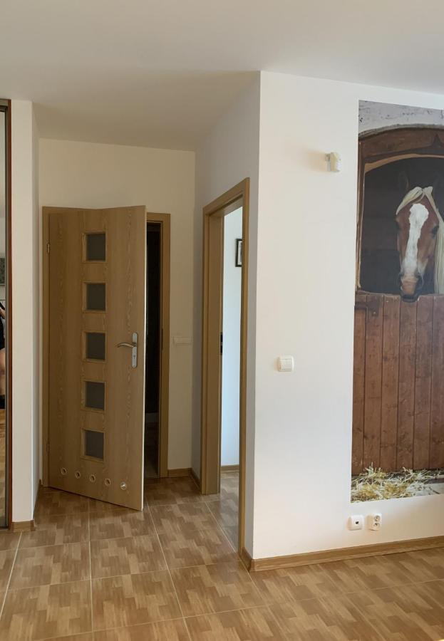 Zawsze Sloneczny Apartament Grzybowo Grzybowo  Exterior photo